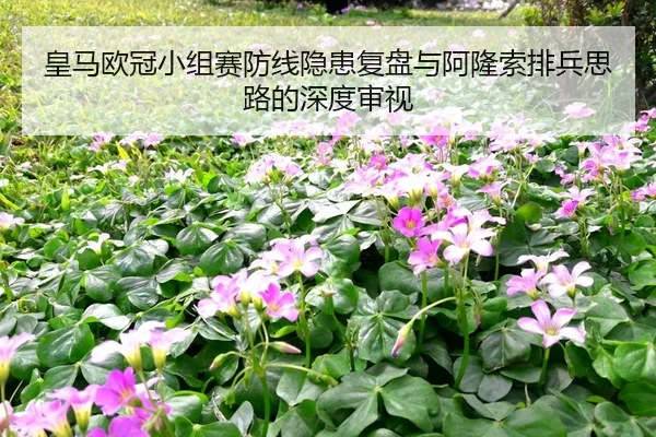 皇马欧冠小组赛防线隐患复盘与阿隆索排兵思路的深度审视