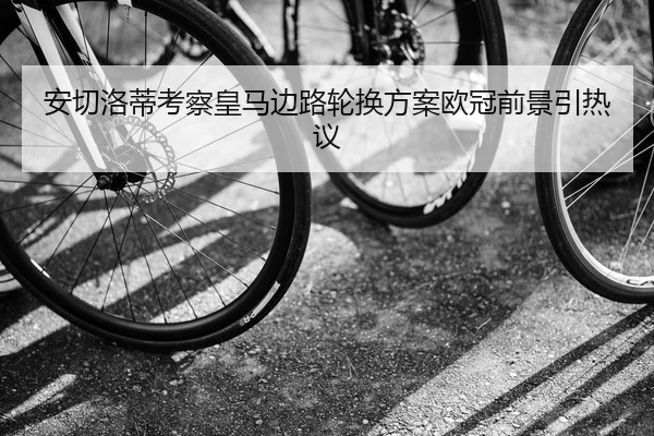 安切洛蒂考察皇马边路轮换方案欧冠前景引热议